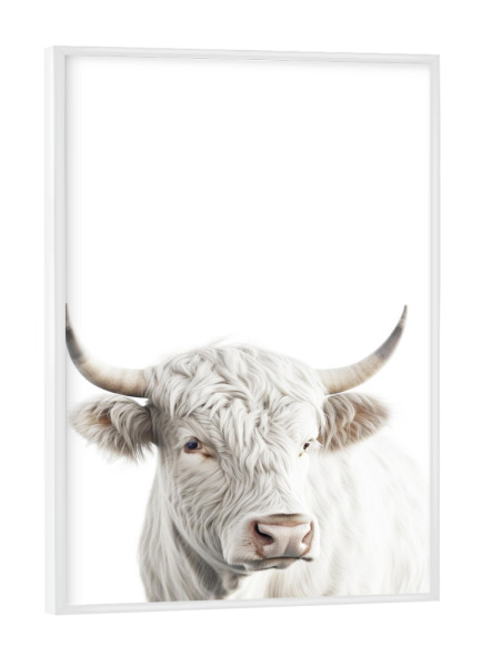 Poster mit weißem Rahmen "Portrait Rind Stier" artboxONE - Tiere - Rind,Weiß,Hörner,Tier,Stier,Minimalist,Portrait,Tierportrait,Kuh