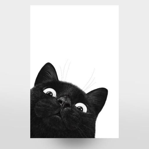 Funny black cat