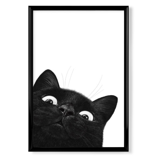 Funny black cat