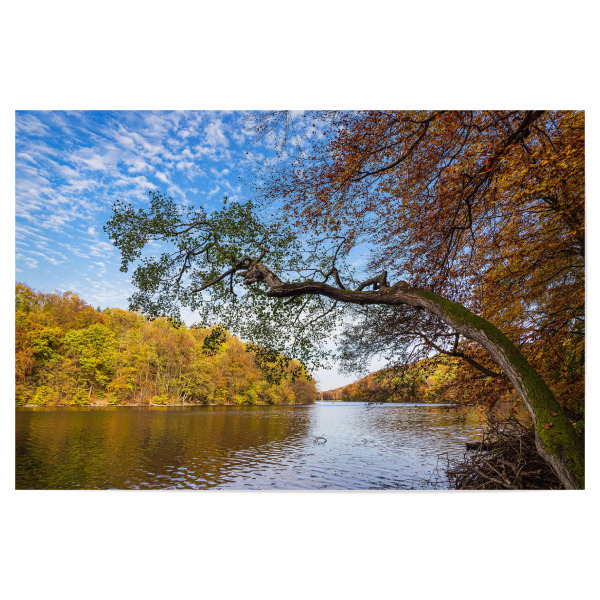 Poster 30x20 cm "Herbstlicher Wald am See" artboxONE - Natur,Reise