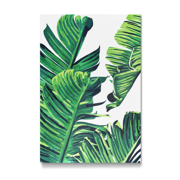 Galerie-Print "Bananenbaumblätter" 30x20 cm artboxONE