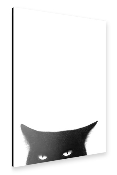 Alu-Dibond "Wütende schwarze Katze" 30x20 cm artboxONE