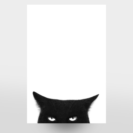 Angry black cat