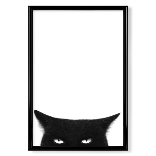 Angry black cat