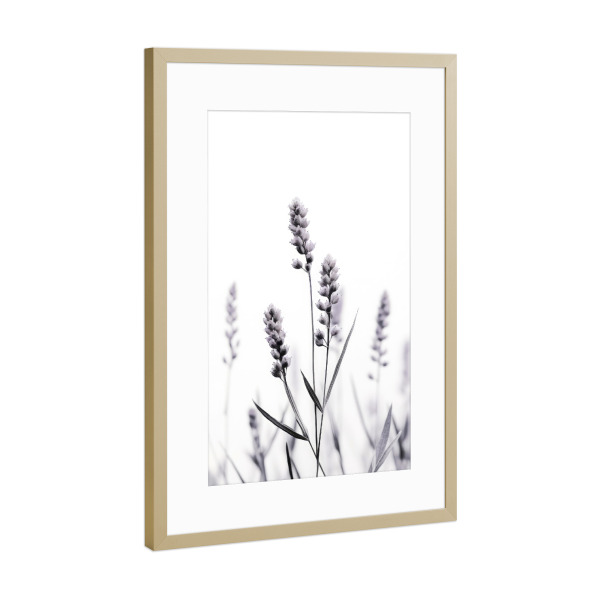 Poster mit Rahmen Gold "Wild Lavender" artboxONE - Natur,Floral,Für Mama