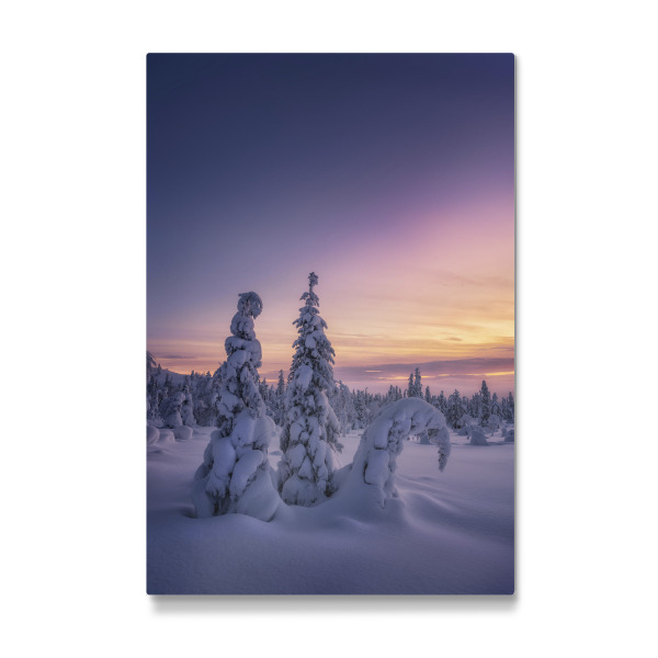 Galerie-Print "Winterstimmung" 30x20 cm artboxONE