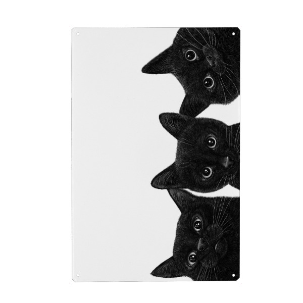 Metall Poster "Drei schwarze Katzen" artboxONE - Für Kinder,Tiere,Für Mama,Halloween,Lustig