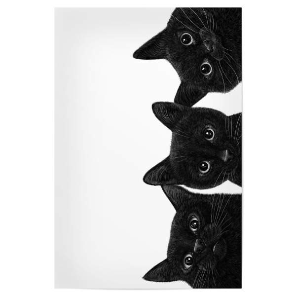 Poster 30x20 cm "Drei schwarze Katzen" artboxONE - Für Kinder,Tiere,Für Mama,Halloween,Lustig