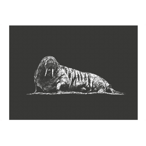 artboxONE Puzzle "Walross auf Schiefer" artboxONE - Natur,Tiere,Schwarzweiß