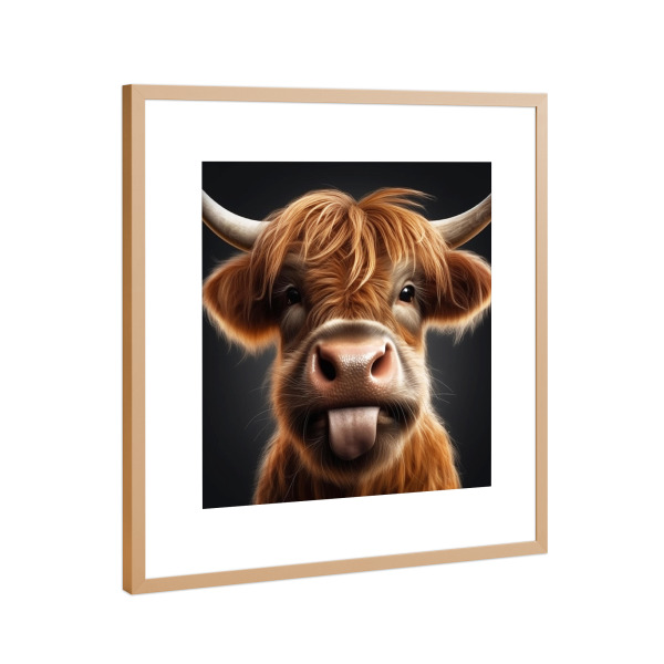 Poster mit Rahmen Kupfer "Lustiges Ochsen Rind" artboxONE - Tiere,Lustig - Rind,Tier,Lustig,Zunge,Portrait,Gesicht,Büffel,Fröhlich