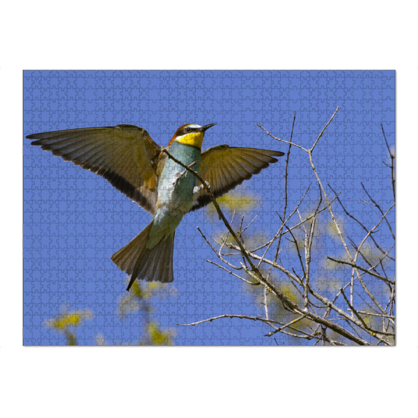 Puzzle Ravensburger "Bienenfresser Im Anflug" artboxONE - Natur,Tiere - Bienenfresser,Vogel,Natur,Tiere - Bild bienenfresser