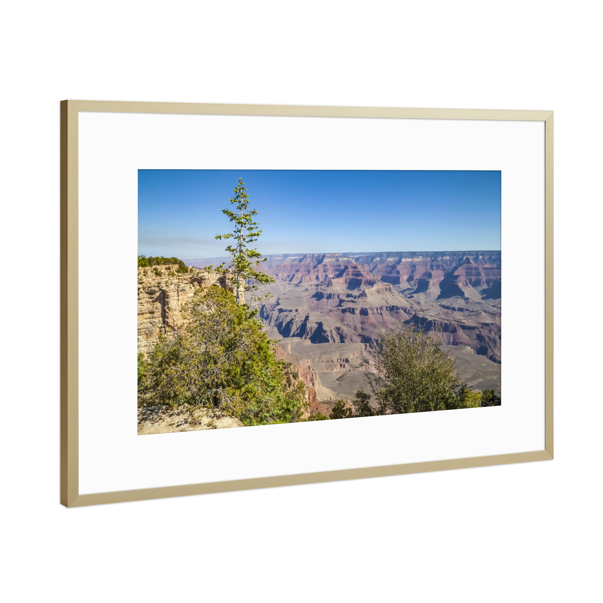 Poster mit Rahmen Gold "GRAND CANYON Mather Point" artboxONE - Natur,Reise,Reise / Länder