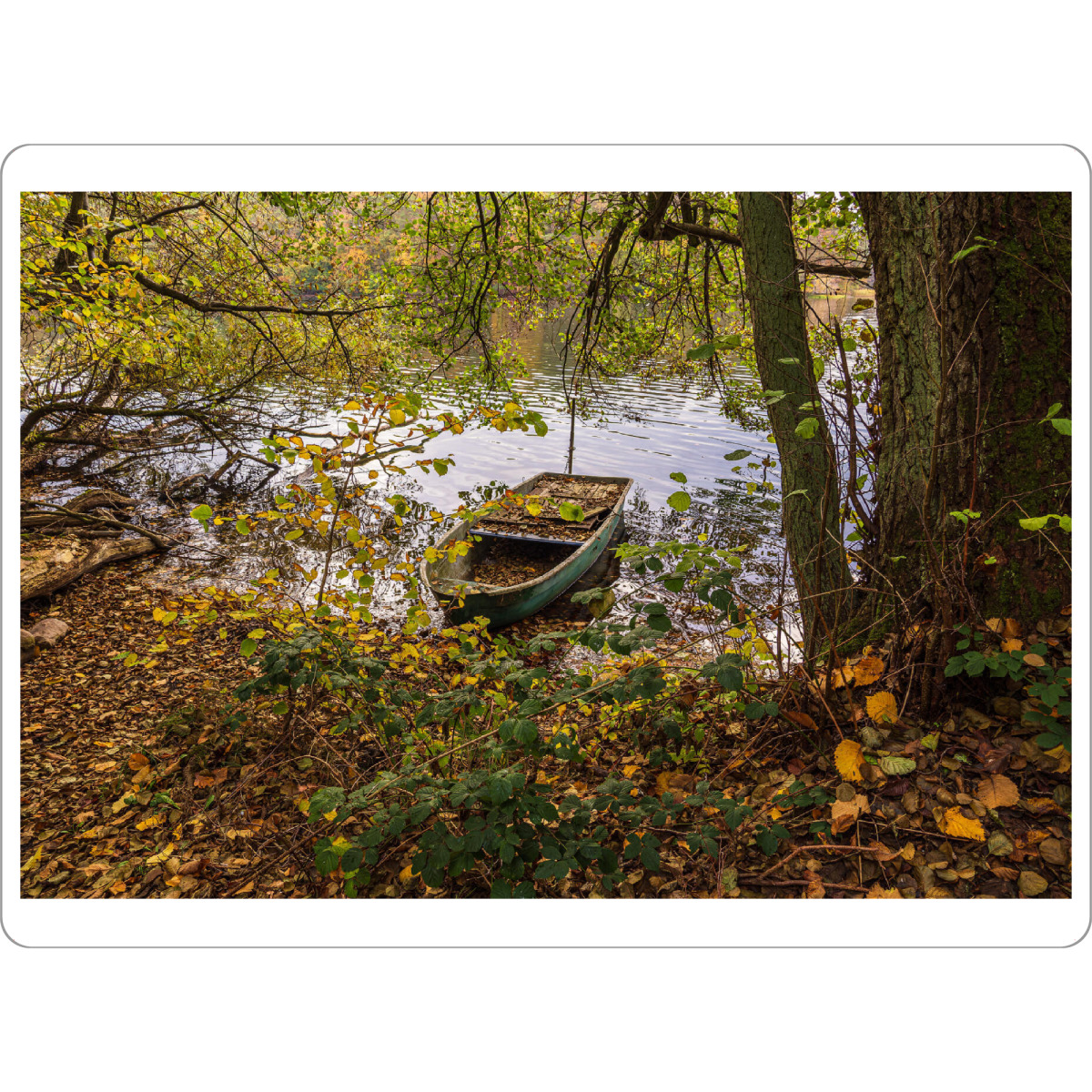 Tischset "Baum, Boot, See" artboxONE - Natur,Reise