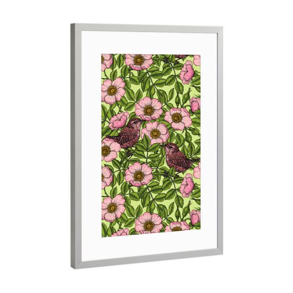 Poster mit Rahmen Silber "Zaunkönige in den wilden Rosen" artboxONE - Natur,Floral