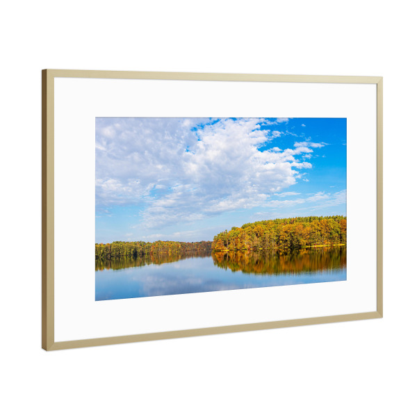 Poster mit Rahmen Gold "Wolken, herbstliche Bäume, See" artboxONE - Natur,Reise