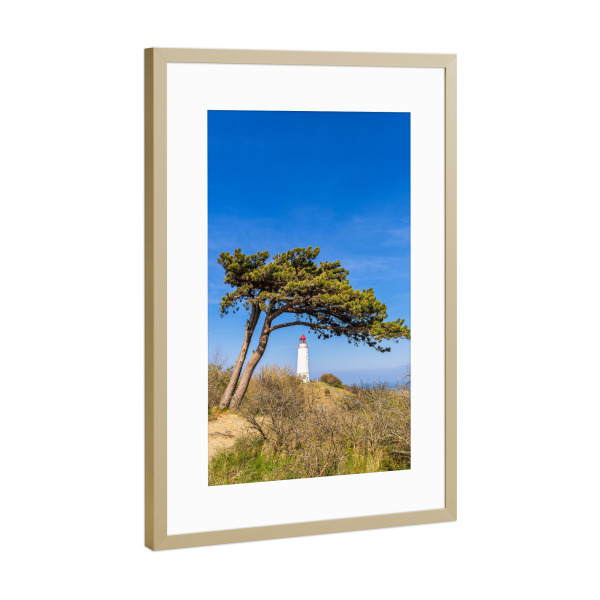 Poster mit Rahmen Gold "Windflüchter mit Leuchtturm" artboxONE - Natur,Reise,Architektur