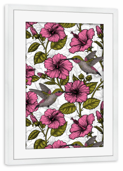 Poster mit Rahmen weiß "Kolibris und rosa Hibiskus" artboxONE - Natur,Floral,Tiere