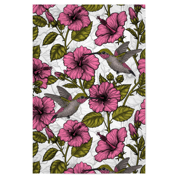 Poster "Kolibris und rosa Hibiskus" artboxONE - Natur,Floral,Tiere