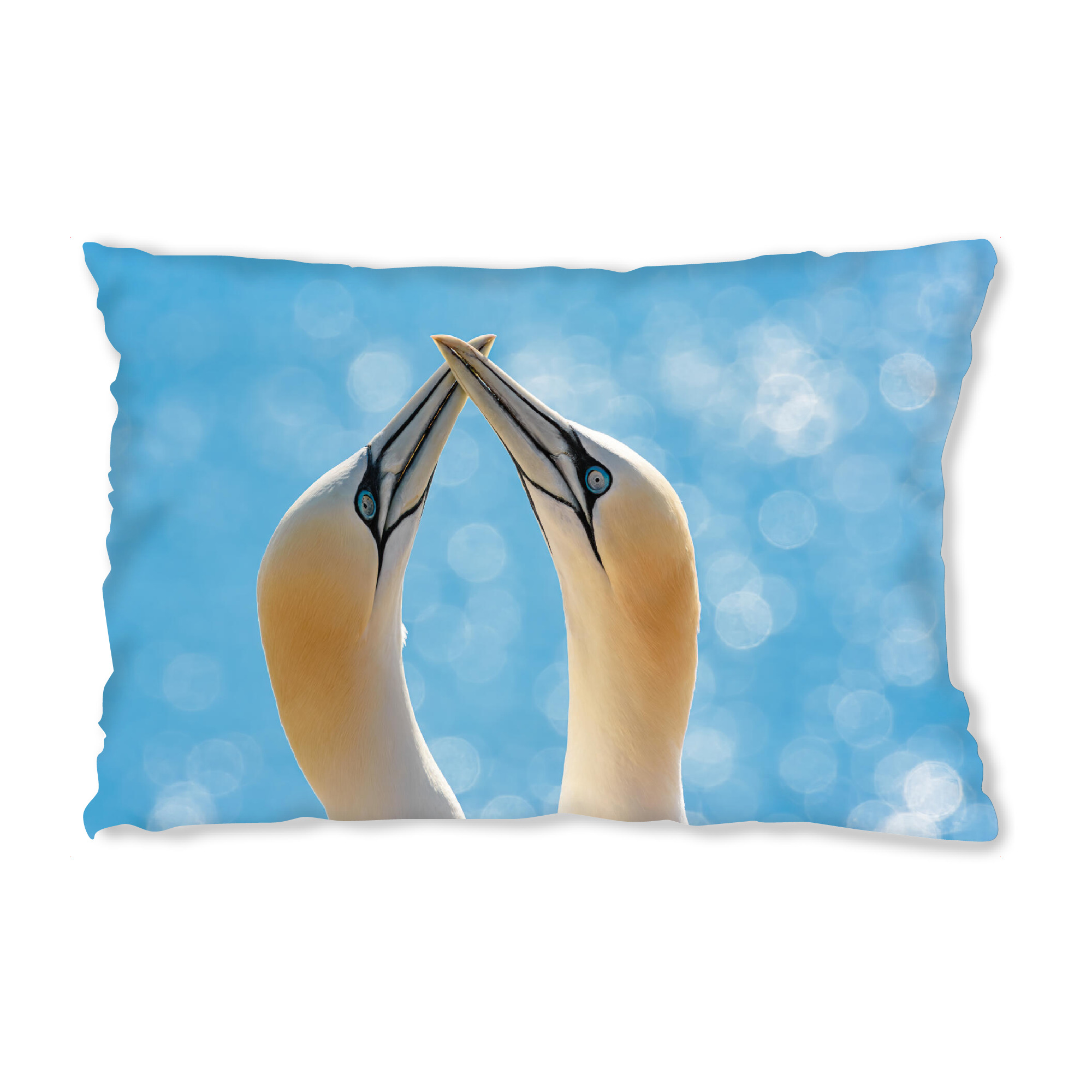 Design-Kissen "Helgoland Basstölpel" artboxONE - Natur,Tiere,Reise / Strand und Meer
