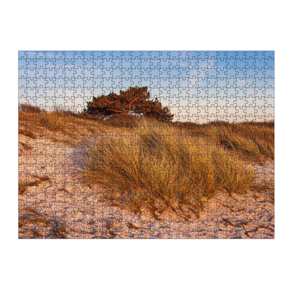 Puzzle Ravensburger "Dünengras, Düne und Baum" artboxONE - Natur,Reise,Reise / Strand und Meer