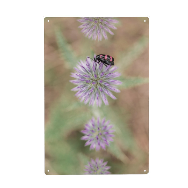 Holzbild "Käfer mit Lila Blüte" artboxONE - Natur,Floral,Tiere