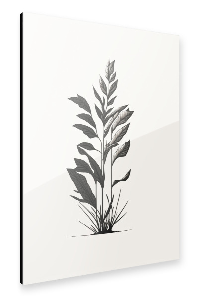 Alu-Dibond "Moderne Gräser" 30x20 cm artboxONE