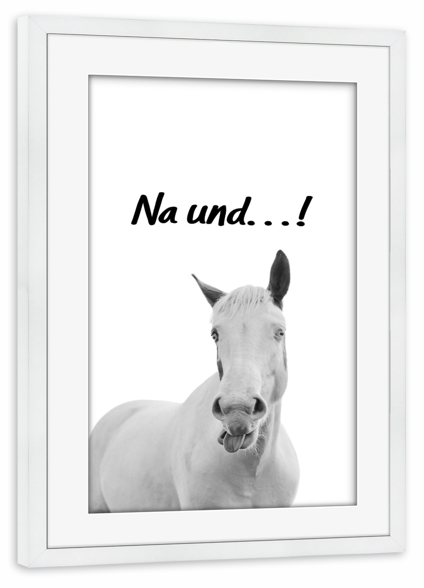 Poster mit Rahmen weiß "Lustiges weißes Pferd" artboxONE - Tiere,Schwarzweiß,Lustig