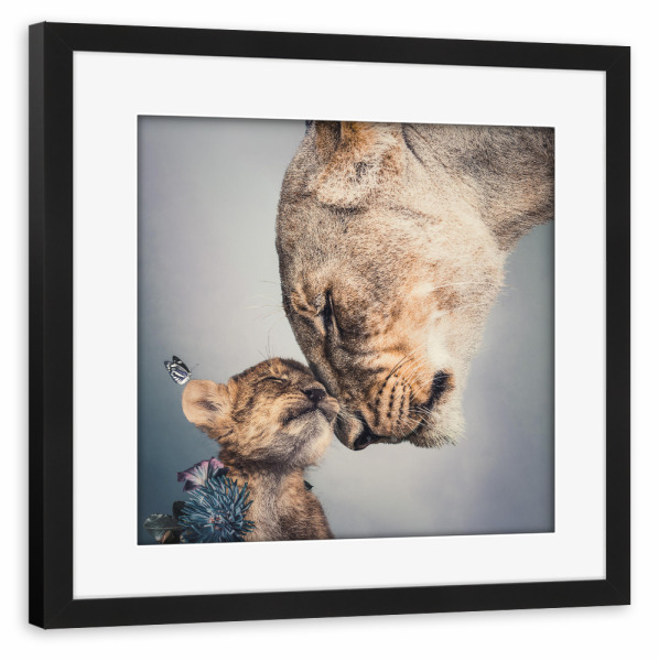 Poster mit Rahmen schwarz "Löwin und Junges Licht" artboxONE - Natur,Tiere - Löwin,Jungtier,Löwenjunges,Löwe,Tierliebe,Große katze