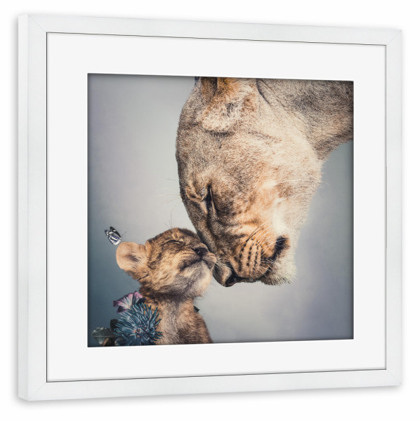 Poster mit Rahmen weiß "Löwin und Junges Licht" artboxONE - Natur,Tiere - Löwin,Jungtier,Löwenjunges,Löwe,Tierliebe,Große katze