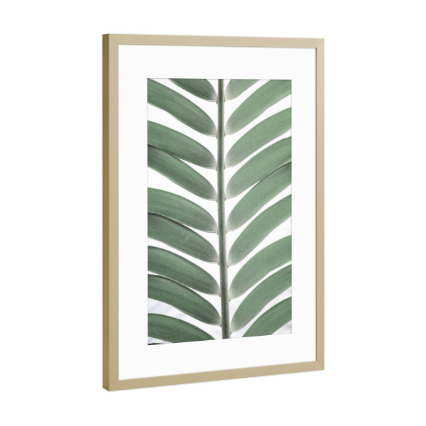 Poster mit Rahmen Gold "Mintgrüne Palme" artboxONE - Natur,Floral,Reise / Strand und Meer