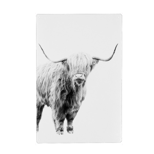 Holzbild "Schwarz-weiße Highlander-Kuh" artboxONE - Natur,Tiere,Schwarzweiß