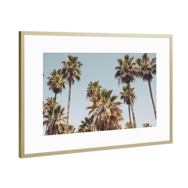Poster mit Rahmen Gold "LA Palmen am Strand" artboxONE - Reise,Musik,Städte / Los Angeles
