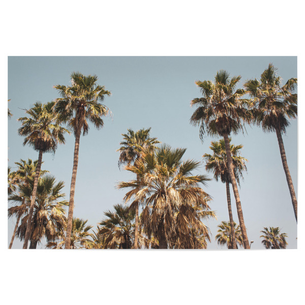 Poster "LA Palmen am Strand" artboxONE - Reise,Musik,Städte / Los Angeles