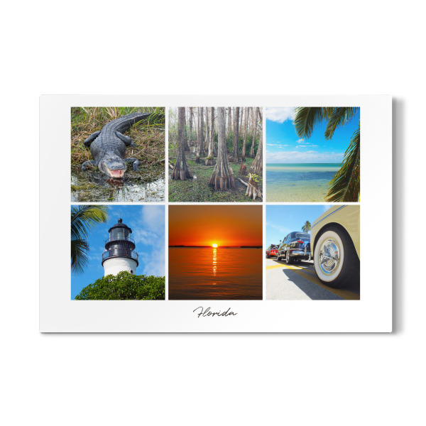 Galerie-Print "Florida Impressions" 30x20 cm artboxONE