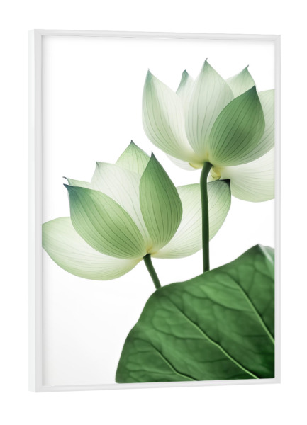 Poster mit weißem Rahmen "Lotos Blüte" artboxONE - Natur,Reise,Floral