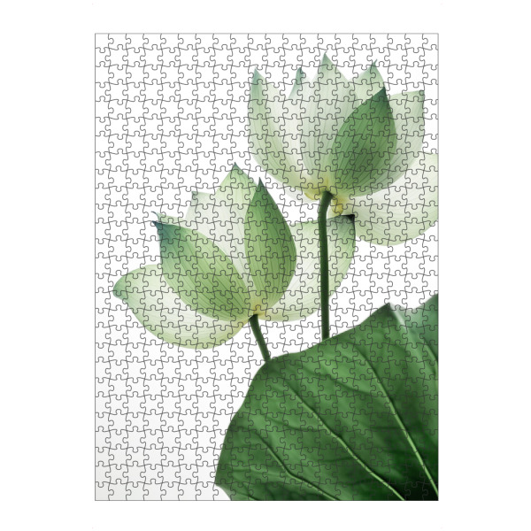 artboxONE Puzzle "Lotos Blüte" artboxONE - Natur,Reise,Floral