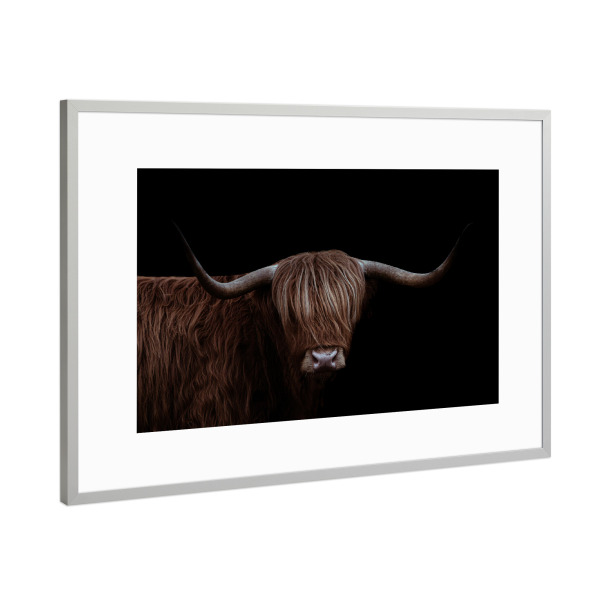 Poster mit Rahmen Silber "Dunkle Highlander-Kühe" artboxONE - Natur,Tiere,Männer