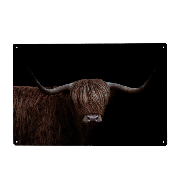 Holzbild "Dunkle Highlander-Kühe" artboxONE - Natur,Tiere,Männer