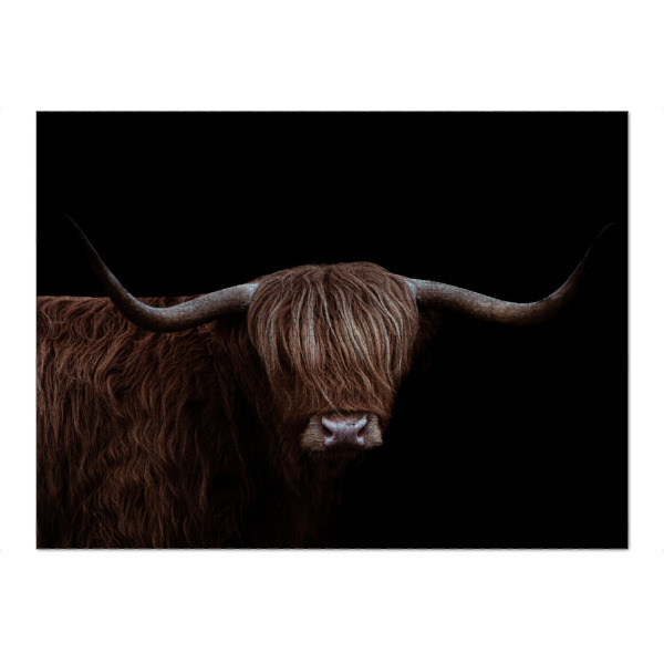 Puzzle Ravensburger "Dunkle Highlander-Kühe" artboxONE - Natur,Tiere,Männer
