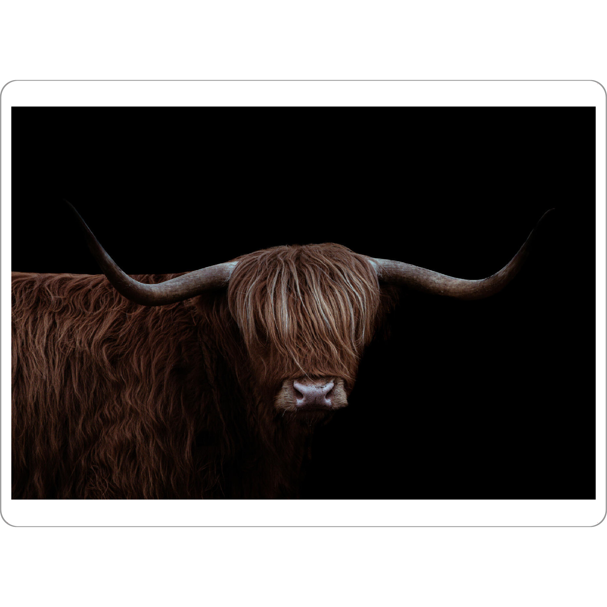 Tischset "Dunkle Highlander-Kühe" artboxONE - Natur,Tiere,Männer