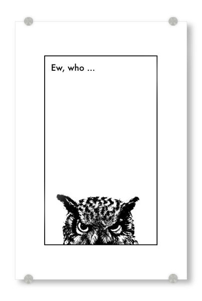 Acrylglasbild "Ew, who" artboxONE - Tiere,Schwarzweiß,Lustig