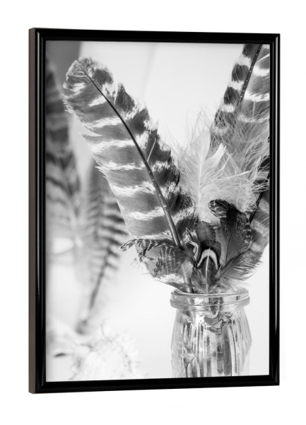 Poster mit schwarzem Rahmen "Schwarz-weiße Boho-Federn" artboxONE - Natur,Tiere