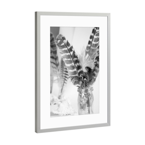 Poster mit Rahmen Silber "Schwarz-weiße Boho-Federn" artboxONE - Natur,Tiere
