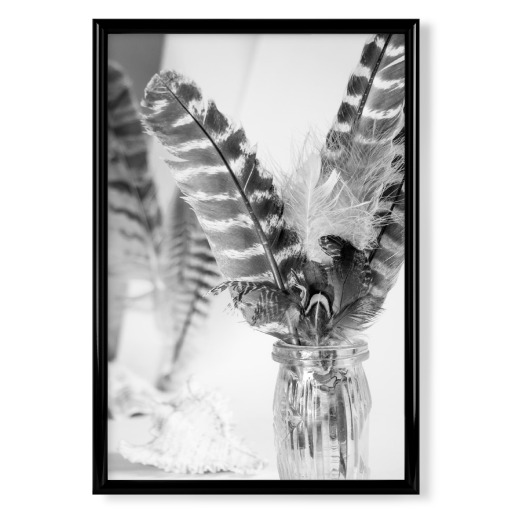 Schwarz-weiße Boho-Federn