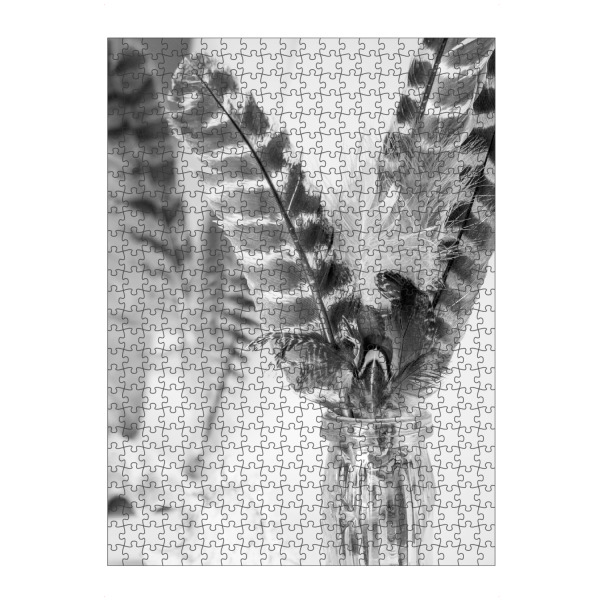 artboxONE Puzzle "Schwarz-weiße Boho-Federn" artboxONE - Natur,Tiere