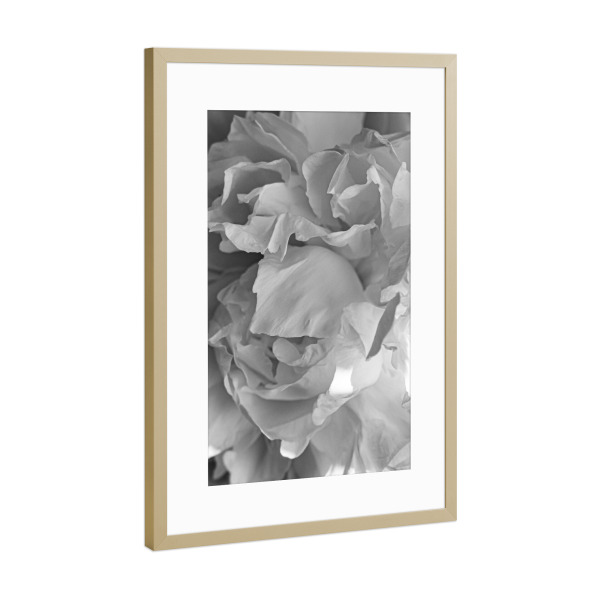 Poster mit Rahmen Gold "Schwarze & weiße Blütenblätter" artboxONE - Natur,Floral,Für Mama