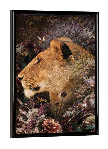 Poster mit schwarzem Rahmen "Löwin Duett Diptychon" artboxONE - Natur,Floral,Tiere - Löwin,Blumen,Blume,Botanisch,Diptychon,Tier