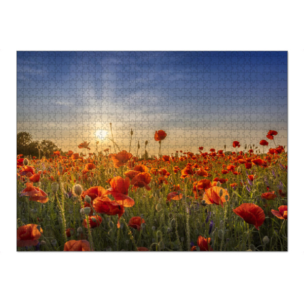 Puzzle Ravensburger "Mohnblumenidyll im Sonnenuntergang" artboxONE - Natur,Floral