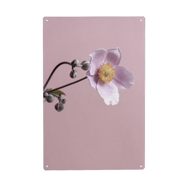 Holzbild "Pinke Blume" artboxONE - Natur,Floral