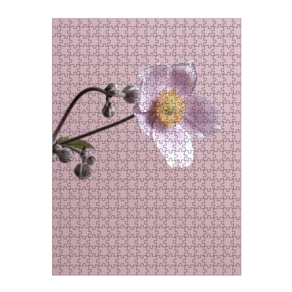 Puzzle Ravensburger "Pinke Blume" artboxONE - Natur,Floral